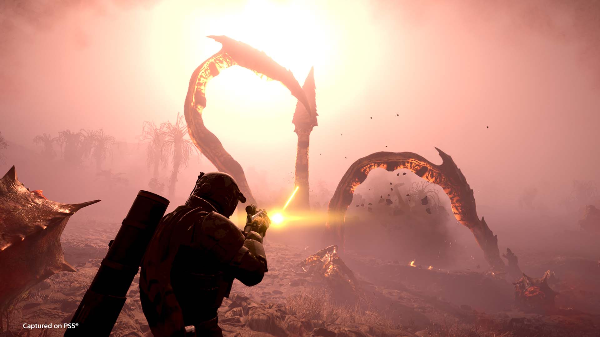 Helldivers 2 the Impalar copy